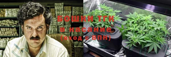 мескалин Заводоуковск