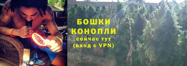 мескалин Заводоуковск