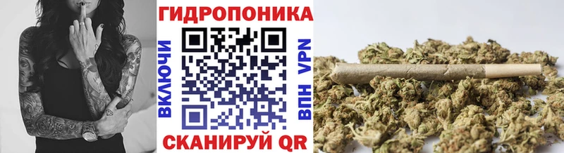 Бошки марихуана индика  Королёв 